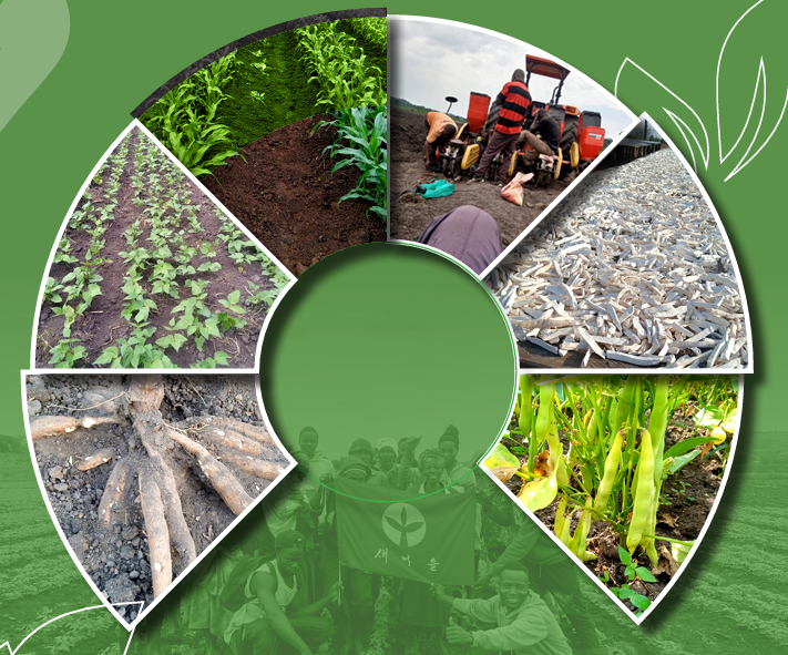 Bwengye Millers crops, mechanization, produce and value addition